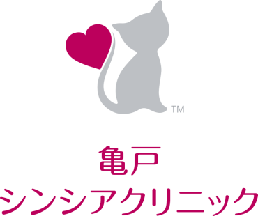 2026年7月からの内科診療体制について