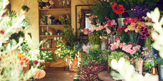 レ ミルフォイユ ドゥ リベルテの様子